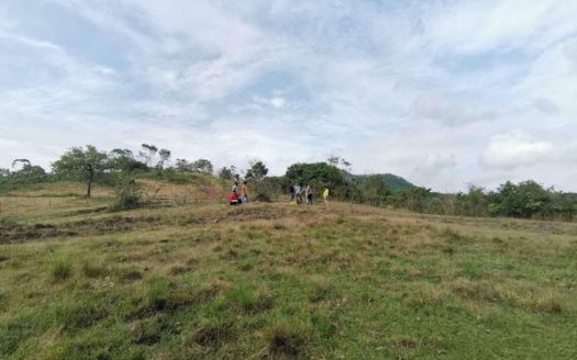 ExtensiveFarmLotForSaleinBulacan-1,jpg