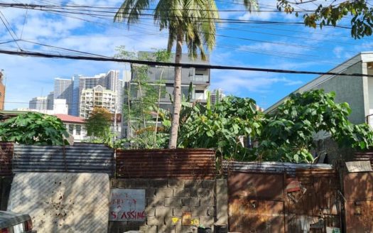 660SQMResidentialLotforSaleinSanAntonioVillageMakatiCity-1.jpg