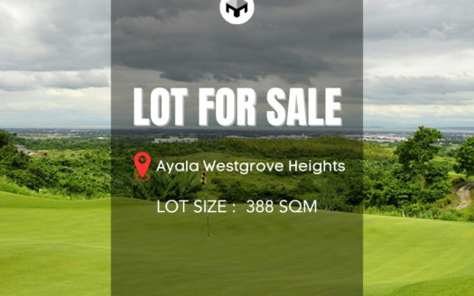 IdealSingleLoadedLotForSaleInAyalaWestgroveHeights-1.png