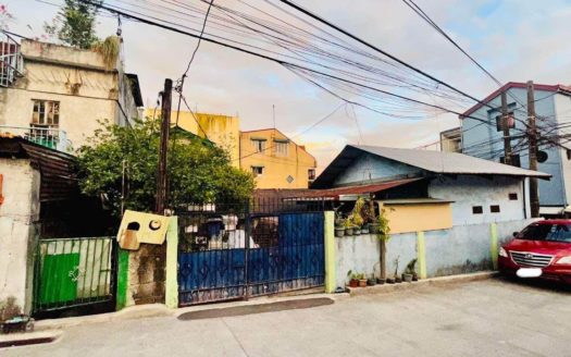 ResidentialLotwithOldHouseforSaleinMakati-1.jpg