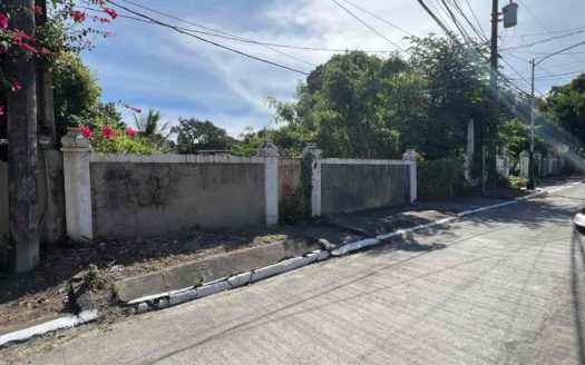 683SQMResidentialLotforSaleinSucatParanaque-1.jpg