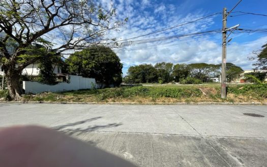 700SQMResidentialLotforSaleinMultinationalVillageParanaque-1.jpg