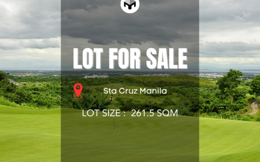 ResidentialLotforSaleinSta.CruzManila-1.png