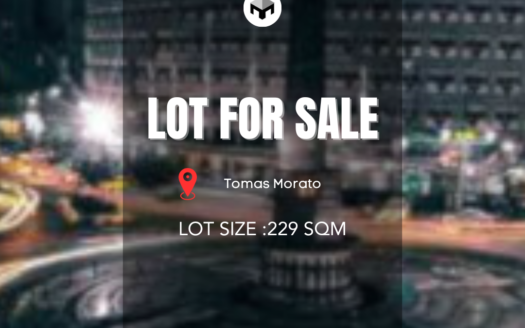 Prime229SQMLotforSaleinTomasMorato-1.jpg