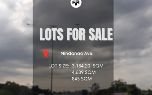 PrimeCommercialLotsforSaleinMindanaoAve.-1.jpg