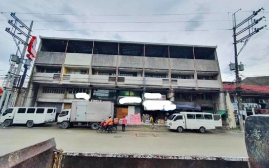 PrimeCommercialPropertyForSaleinTimogAve.QuezonCity-1.jpg