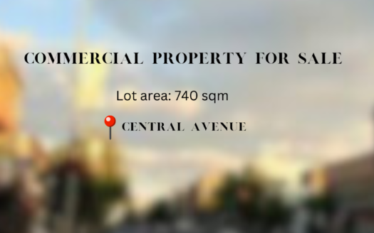 740SQMCommercialPropertyfoSalinCentralAvenueQuezonCity-1.JPG