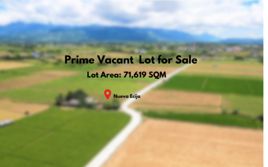 71,619SQMPrimeVacantLotforSaleinNuevaEcija-1.jpg
