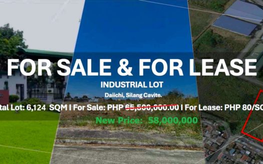 6,124SQMIndustrialLotforSaleinDaiichiIndustrialParkSilangCavite-1.jpg