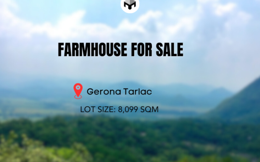 8099SQMFarmhouseforSaleinTarlacCity-1.jpg
