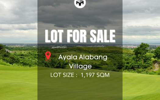 MassiveVacantLotforSaleinAyalaAlabangVillageMuntinlupa-1.png