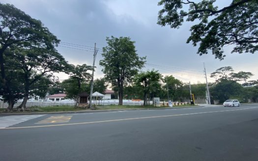 SoughtAfterVacantLotforSaleinAyalaAlabangVillageMuntinlupa-1.jpg