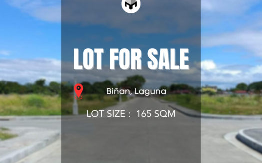 165SQMVacantLotforSaleinBiñan,Laguna-1.jpg