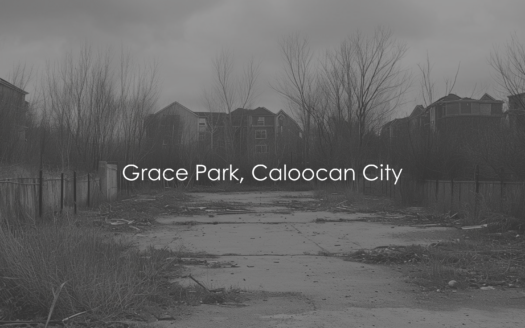 682SQMVacantLotforSaleinGraceParkCaloocanCity-1.jpg