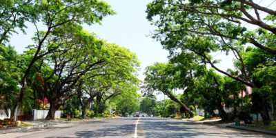 Presello - The Definitive Guide On Where to Eat In and Around Ayala Alabang