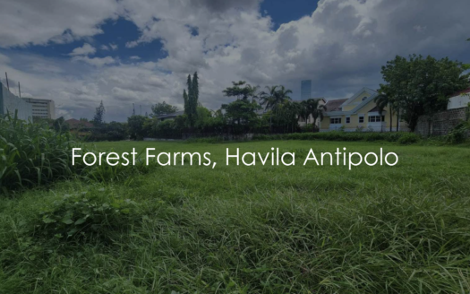 974SQMResidentialFarmLotforSaleatForestFarmsHavilaAntipolo-1.png
