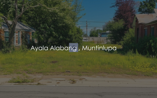 1612SQMVacantLotforSaleinAyalaAlabangMuntinlupa-1.png