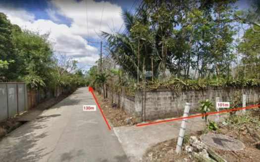 13,846SQMVacantLotforSaleinAmadeo,CaviteP-1.jpg