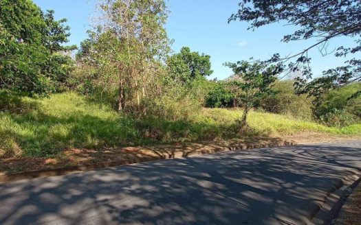1200SQM–1900SQMVacantLotforSaleinValleyGolfSubdivisionCaintaRizal-1.jpg