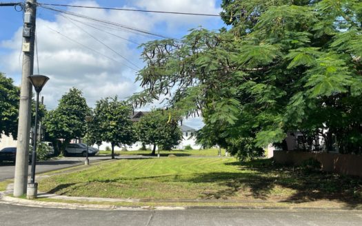 228SQMPrimeResidentialLotforSaleinVerdanaHomesMamplasanBinanLaguna-1.jpg