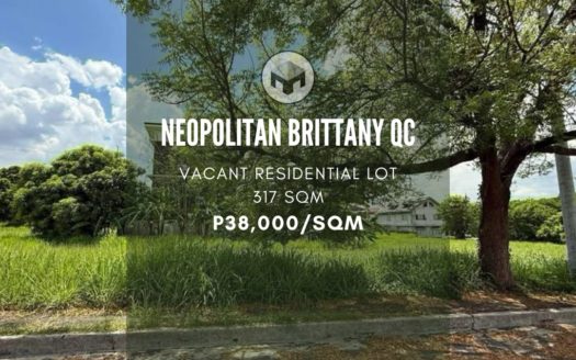 317SQMVacantLotforSaleinNeopolitanBrittanyQuezonCity-1.jpg