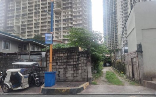 334SQMVacantLotforSaleinLakeviewDrivePasig-1.jpg