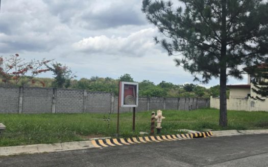367-sqm-vacant-lot-in-portofino-heights-las-pinas-01.jpg