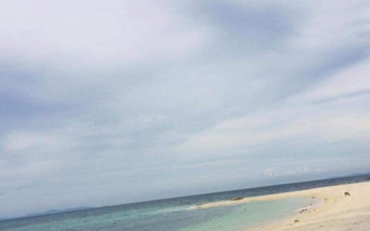 IslandBeachLotforSaleinSanVicenteNorthernSamar-1.jpg