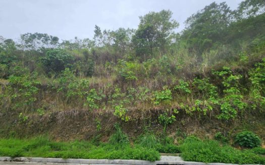 741SQMVacantLotforSaleinMonterazasThePeakCebu-1.jpg