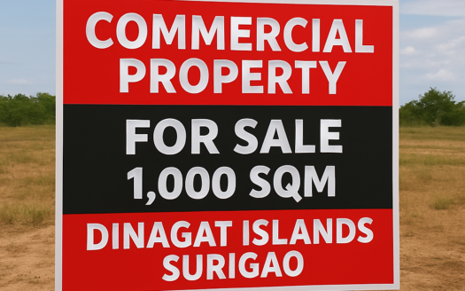 1000SQMCommercialPropertyforSaleinDinagatIslandSurigaoCity-1.jpg