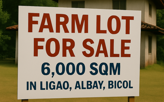 6000SQMFarmLotforSaleinLigaoAlbayBicol-1.png