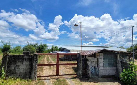 43939SQMPoultryFarmforSaleinSanMiguelBulacan-1.jpg