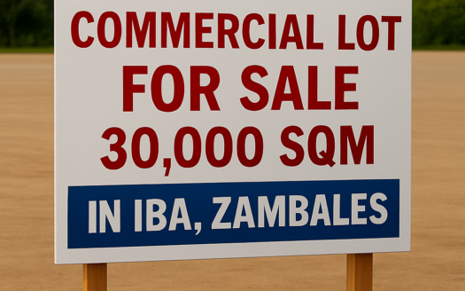 30000SQMCommercialLotforSaleinIbaZambales-1.png