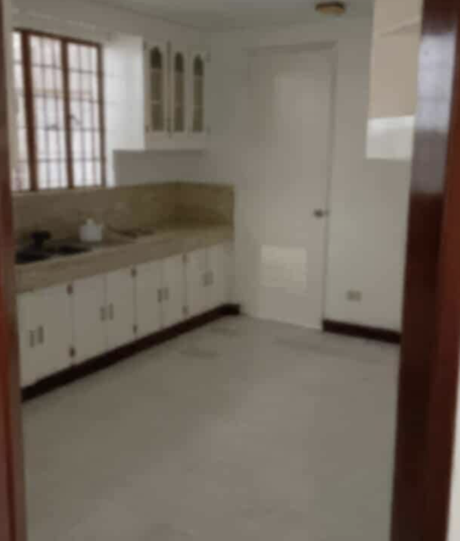 476SQMLotforSalewithOldHouseinAlabang400VillageMuntinlupaCity-10.png