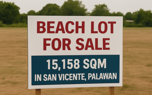 15158SQMBeachLotforSaleinSanVicentePalawan-1.png