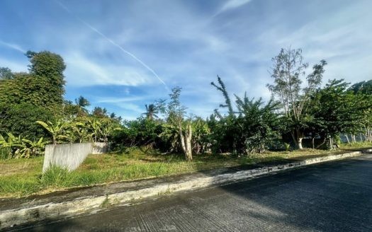 300SQMVacantLotforSaleinRivieraResidentialEstatesSilangCavite-1.jpg