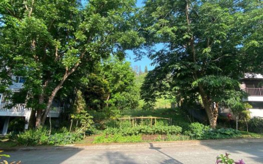 320SQMResidentialLotforSaleinCanyonWoodsResidentialResortLaurelBatangas-1.jpg