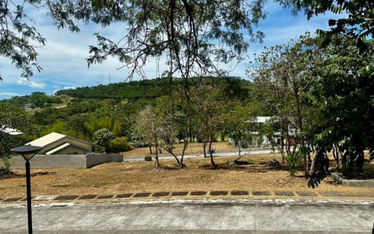 Prime330SQMVacantLotforSaleinAyalaGreenfieldEstatesCalambaLaguna-1.jpg