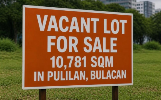 10781SQMVacantLotforSaleinPulilanBulacan-1.jpg