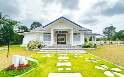 20265SQMFarmLotforSaleinIndangCavite-1.jpg
