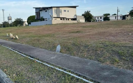 345SQMPrimeVacantLotforSaleinAlabangWestVillageAlmanzaDosLasPinas-1.jpg