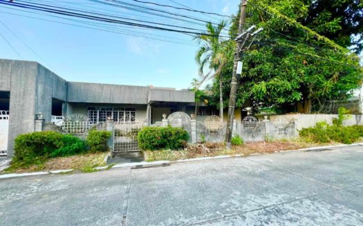 Spacious4-BedroomHouseandLotforSaleinBFHomesParanaque-1.jpg