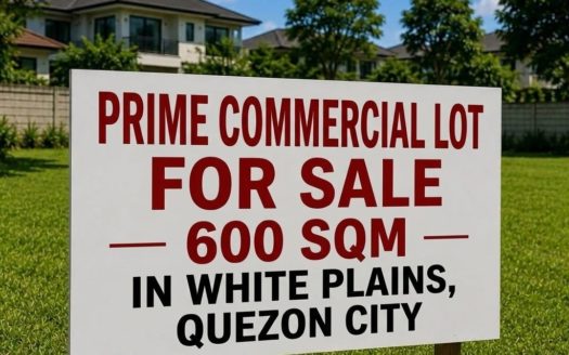 600SQMPrimeCommercialLotforSaleinWhitePlains,QuezonCity-1.jpg